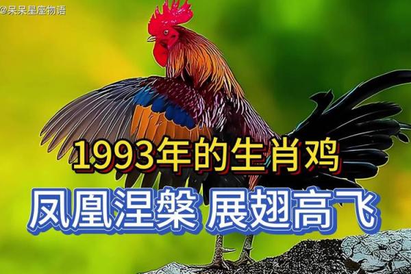 1993年属鸡2025年运势完整版_1993年属鸡2025年运势详解事业财运健康全解析 1993年属鸡2025年运势完整版_1993年属鸡2025年运势详解事业财运健康全解析