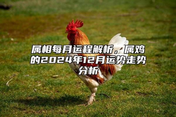 1969年属鸡2025年运程 1969年属鸡2025年运程详解财运事业感情全面解析 1969年属鸡2025年运程 1969年属鸡2025年运程详解财运事业感情全面解析