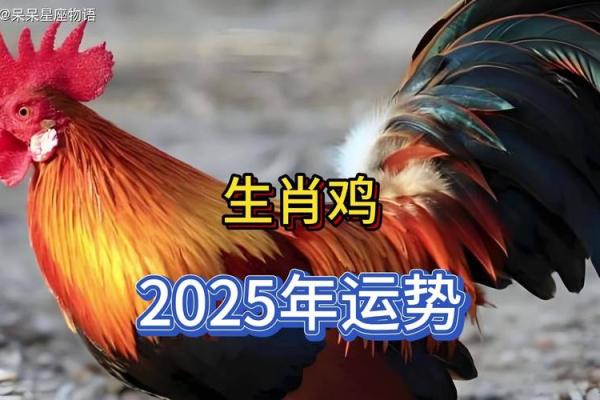 1969年属鸡的2024全年运势_1969年属鸡2024年运势详解全年运程大揭秘 1969年属鸡的2024全年运势_1969年属鸡2024年运势详解全年运程大揭秘
