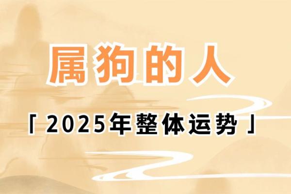 1994年1月出生属鸡还是属狗生肖划分详解 1994年1月出生属鸡还是属狗生肖划分详解