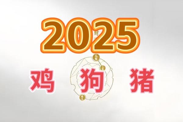 2025年93鸡运势解析财运事业爱情全面预测 2025年93鸡运势解析财运事业爱情全面预测