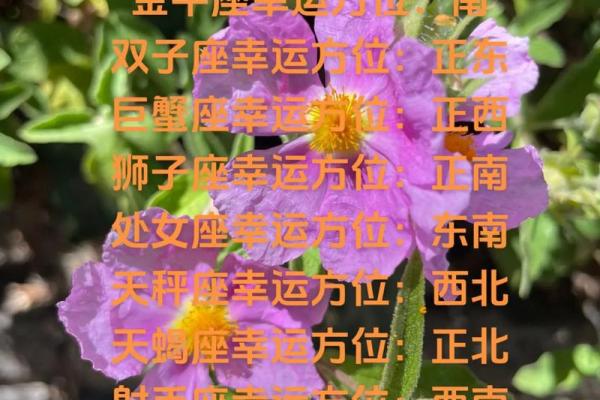 白羊座今日运势非常运势网 白羊座今日运势非常运势网