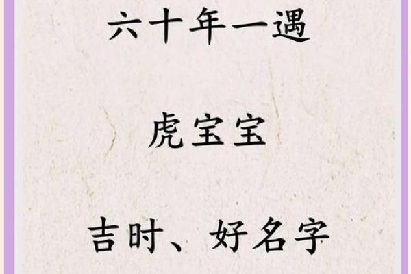半夜出生的属虎男孩起什么名，应用什么字姓名