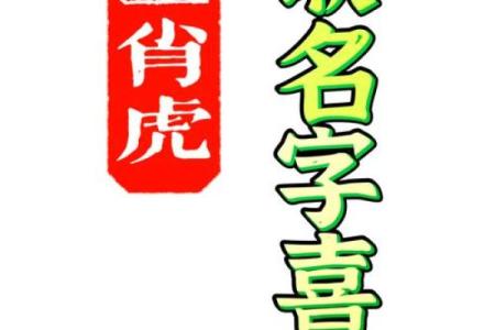 半夜出生的属虎男孩起什么名，应用什么字姓名