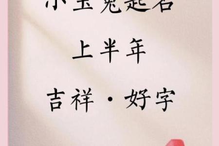 兔年女孩子起名字大全-兔年起名字姓名