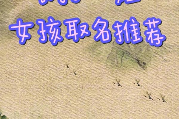 2021年7月5日出生的女孩取名大全,清新有诗意姓名