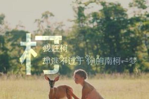 柯姓男孩名字大全-柯姓男孩起名字大全-柯姓名字大全姓名