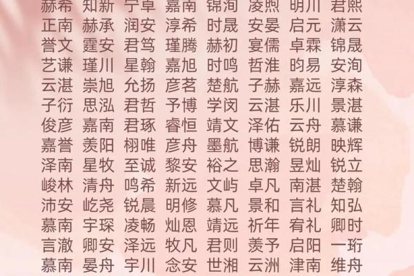 2019年3月23号巳时出生的男孩如何起名姓名