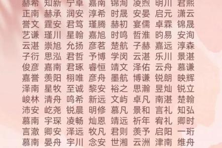 2019年3月23号巳时出生的男孩如何起名姓名