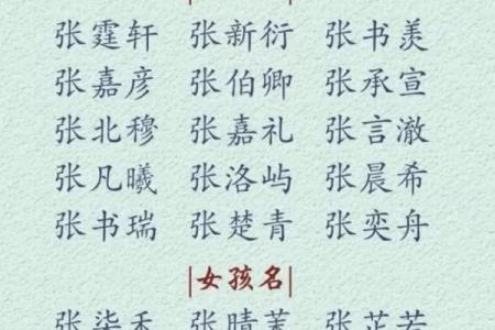 2019年3月29号巳时出生的男孩起名时要注意什么姓名