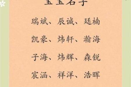 2019年6月24号卯时出生的男孩如何起名姓名