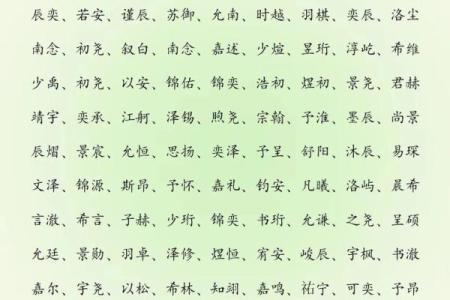 2019年6月1号子时出生的男孩要怎么起名字姓名