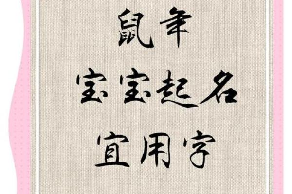 什么字适合给晚上11点出生的属鼠男孩起名姓名