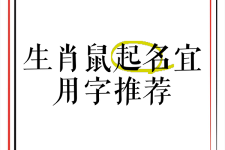 什么字适合给晚上11点出生的属鼠男孩起名姓名