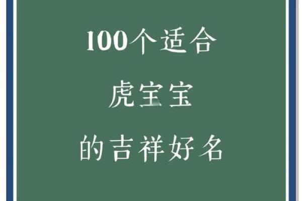 上午11点出生的属虎男孩起什么名，用什么字姓名
