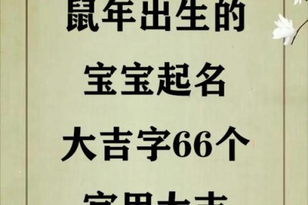 要怎么给中午12点出生的属鼠男孩起名最好姓名