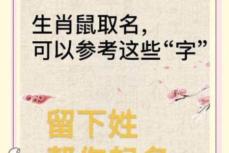 要怎么给中午12点出生的属鼠男孩起名最好姓名