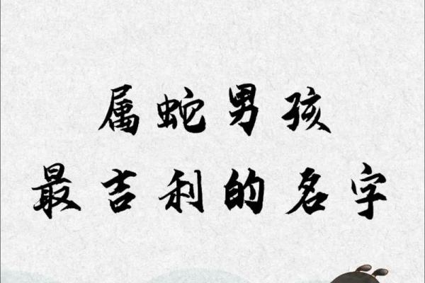 8月份出生的属蛇男孩适合起哪些名字姓名