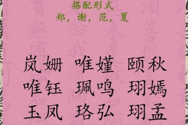 盛姓女孩名字大全-盛姓女孩起名字大全-盛姓名字大全姓名
