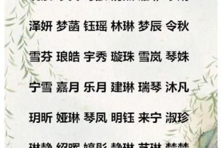 早上出生的属鼠男孩取名适用的字姓名