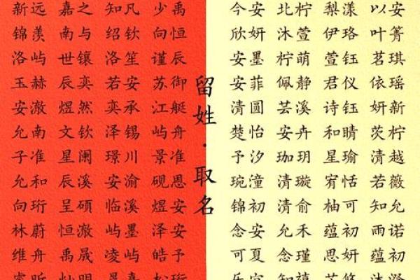2019年4月28号卯时出生的男孩应该起什么样的名字姓名