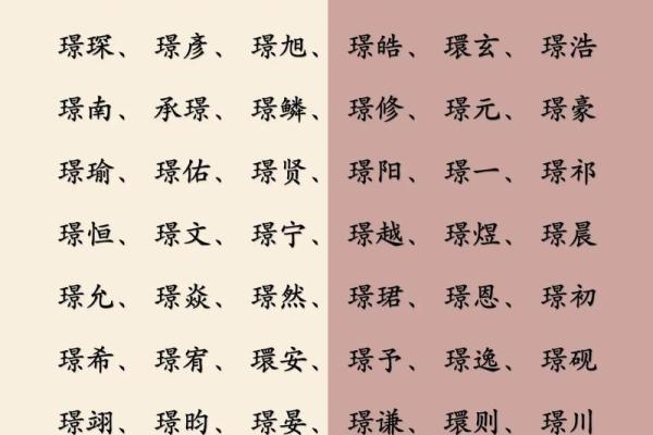 2019年4月28号卯时出生的男孩应该起什么样的名字姓名