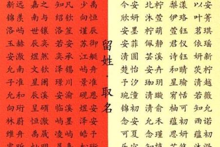 2019年4月28号卯时出生的男孩应该起什么样的名字姓名