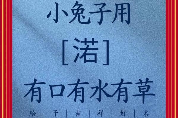 早上6点出生的属兔男孩如何取名姓名