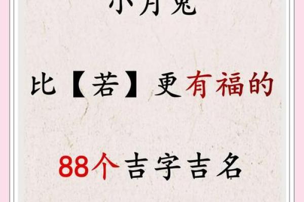 早上6点出生的属兔男孩如何取名姓名
