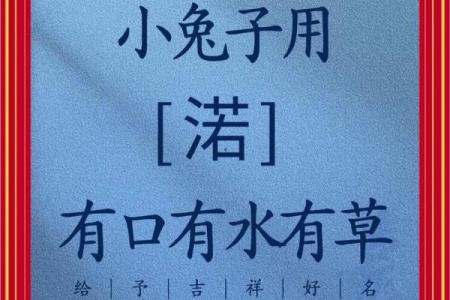 早上6点出生的属兔男孩如何取名姓名