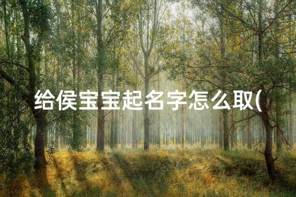 2月份出生的属猴男孩要怎样取名呢？姓名