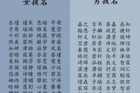 2019年3月19号申时出生的男孩起名时要注意什么姓名