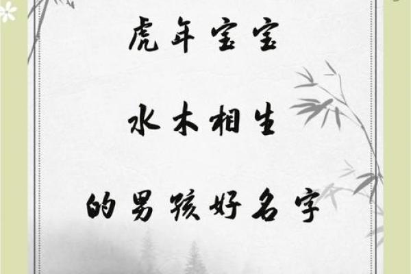 2019年5月15号寅时出生的男孩如何起名姓名 2019年5月15号寅时出生的男孩如何起名姓名