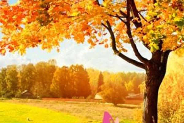 姓蔚的名人-姓名学-华易算命网姓名 姓蔚的名人-姓名学-华易算命网姓名