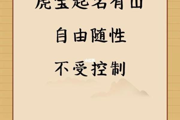 中午12点出生的属虎男孩如何起名，宜用什么字姓名