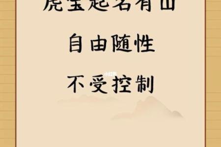 中午12点出生的属虎男孩如何起名，宜用什么字姓名