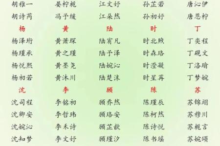 2019年6月11号寅时出生的男孩起名方法姓名