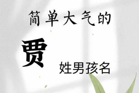 贾姓女孩名字大全-贾姓女孩起名字大全-贾姓名字大全姓名