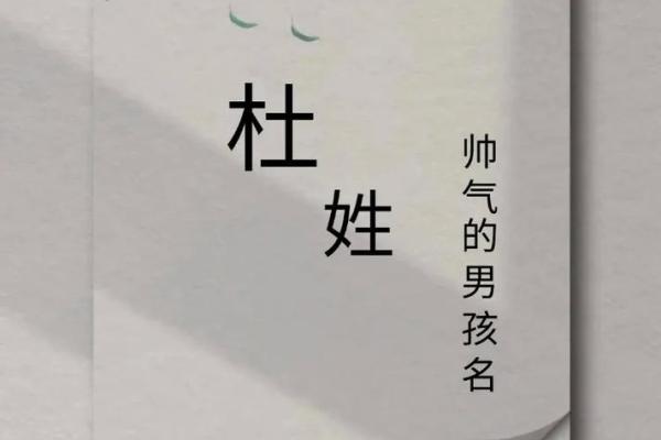 杜姓男孩名字大全-杜姓男孩起名字大全-杜姓名字大全姓名