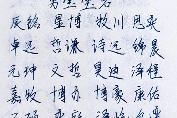 2019年3月25号巳时出生的男孩起名方法姓名