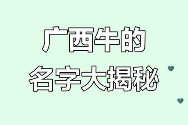 农历四月牛宝宝名字大全,温暖有朝气的男孩女孩名字姓名