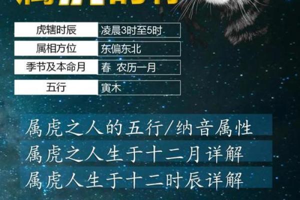 12月份出生的属虎男孩如何取名字姓名