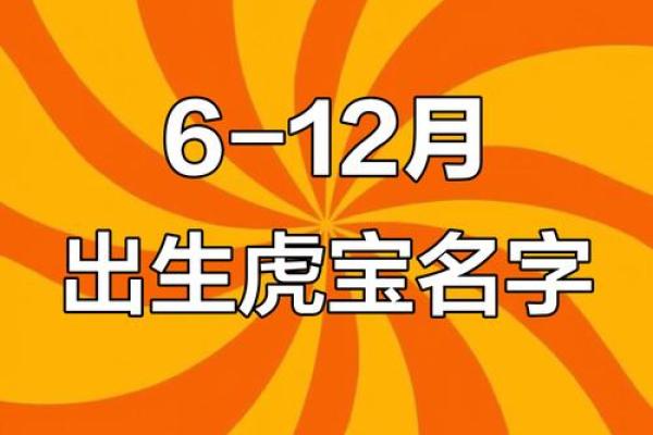 12月份出生的属虎男孩如何取名字姓名