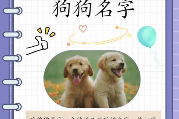 下午三点出生的属狗男孩如何取名,宜用什么字姓名 下午三点出生的属狗男孩如何取名,宜用什么字姓名
