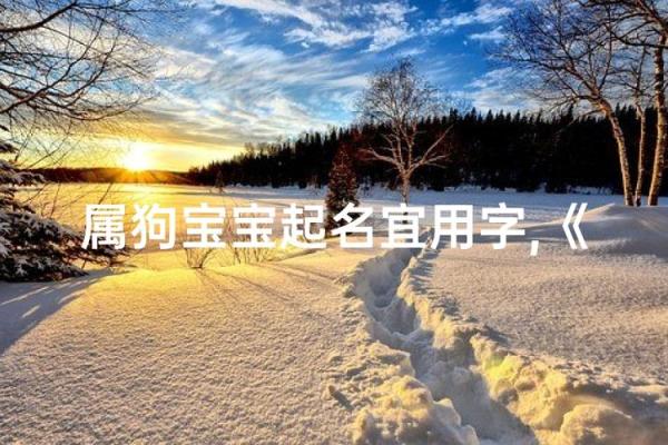 下午三点出生的属狗男孩如何取名,宜用什么字姓名 下午三点出生的属狗男孩如何取名,宜用什么字姓名