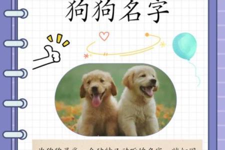 下午三点出生的属狗男孩如何取名，宜用什么字姓名