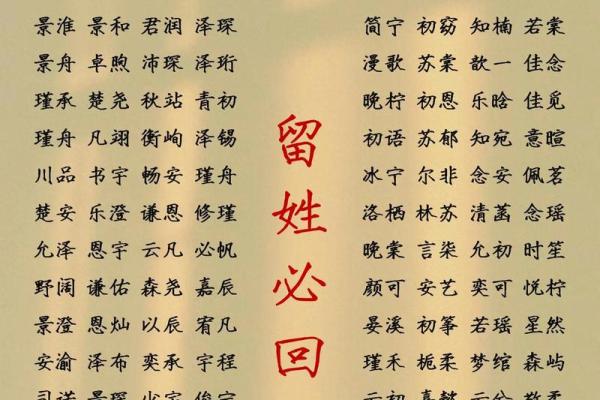 怎样来给属猪亥时出生的男孩起名姓名